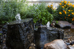 LP_KS_Lenexa_W98thSt_0253_WEB