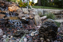 LP_KS_OverlandPark_GaddardAve0289_WEB